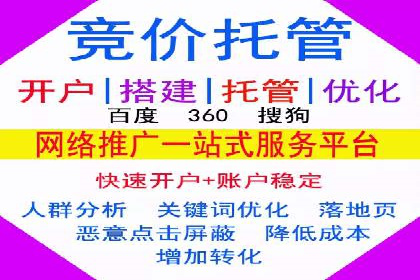 某知名企业SEM营销全案解析